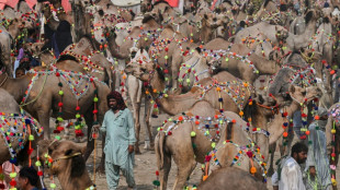 Fewer buyers for Eid camels as Pakistanis count the rupees