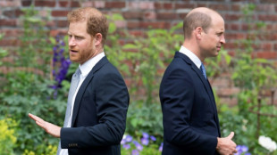 Prinz Harry erhebt in Netflix-Serie schwere Vorwürfe gegen seinen Bruder William
