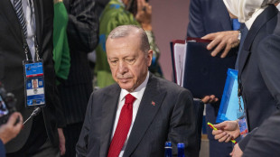 Erdogan, 'sosteniamo fermamente l'integrità dell'Ucraina'