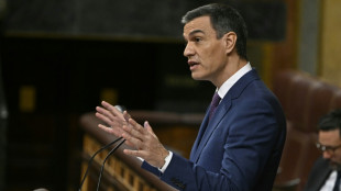 Pedro Sánchez prestes a assumir novo mandato em uma Espanha dividida