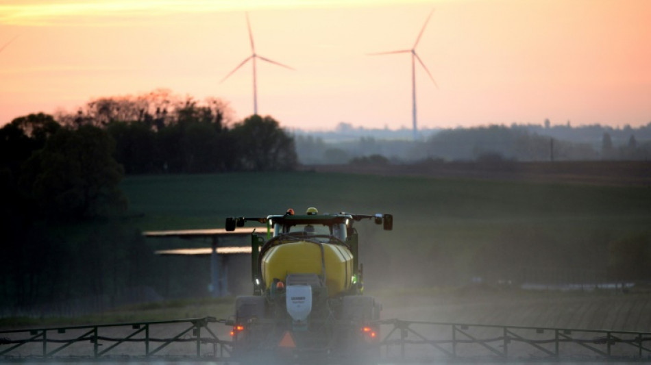 L'Anses bannit largement un désherbant et maintient un insecticide pour les céréales à l'export