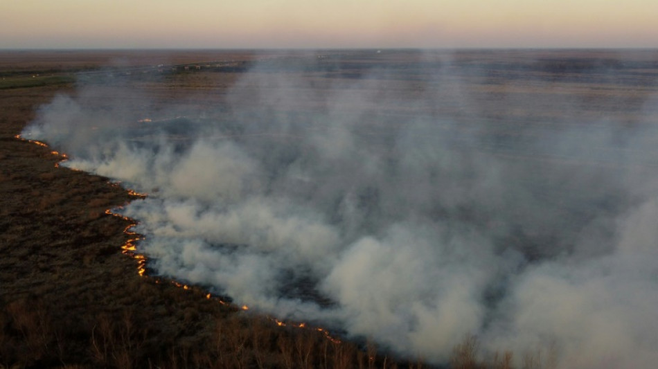 Argentine: feux importants dans le delta du Parana, les écobuages montrés du doigt