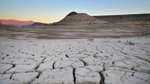 US mulling forced cuts of Colorado River use as water dwindles