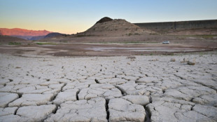 WMO-Bericht: Vergangene acht Jahre global offenbar die heißesten überhaupt
