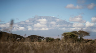 Weitere Brände am Kilimandscharo ausgebrochen