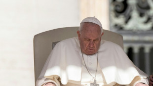 Knee pain keeps Pope seated during weekly audience