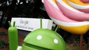 Google wins delay opening Android app store to rivals